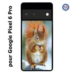 Coque pour Google Pixel 6 PRO écureuil