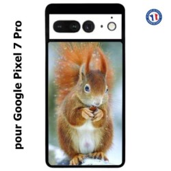 Coque pour Google Pixel 7 Pro écureuil
