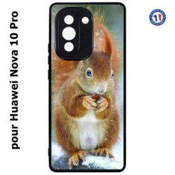 Coque pour Huawei Nova 10 Pro écureuil