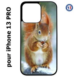 Coque pour iPhone 13 Pro écureuil