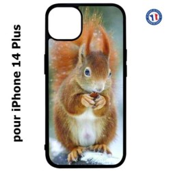 Coque pour iPhone 14 PLUS écureuil