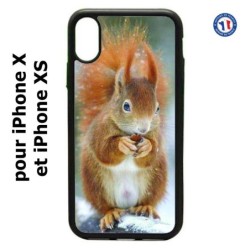 Coque pour IPHONE X et IPHONE XS écureuil