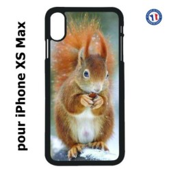 Coque pour iPhone XS Max écureuil