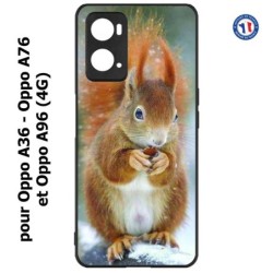 Coque pour Oppo A36 / A76 / A96 (4G) -  écureuil