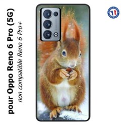 Coque pour Oppo Reno 6 Pro (5G) écureuil