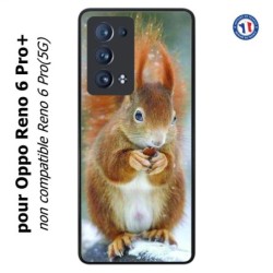 Coque pour Oppo Reno 6 Pro+ écureuil