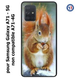 Coque pour Samsung Galaxy A71 - 5G écureuil