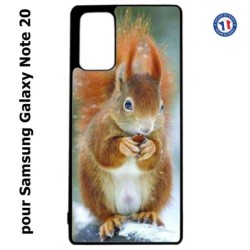 Coque pour Samsung Galaxy Note 20 écureuil