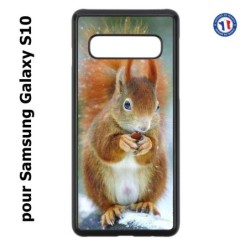 Coque pour Samsung Galaxy S10 écureuil