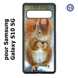 Coque pour Samsung Galaxy S10 5G écureuil