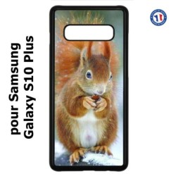 Coque pour Samsung Galaxy S10 Plus écureuil