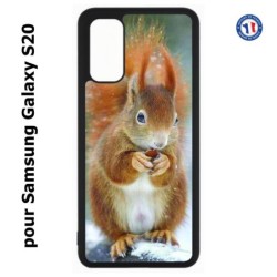 Coque pour Samsung Galaxy S20 / S11E écureuil