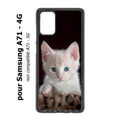 Coque pour Samsung Galaxy A71 - 4G Bébé chat tout mignon - chaton yeux bleus