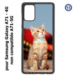 Coque pour Samsung Galaxy A71 - 4G Adorable chat - chat robe cannelle