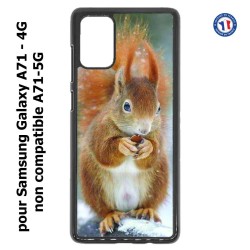 Coque pour Samsung Galaxy A71 - 4G écureuil
