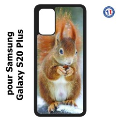 Coque pour Samsung Galaxy S20 Plus / S11 écureuil