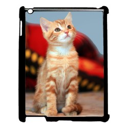 Coque pour IPAD 5 Adorable chat - chat robe cannelle