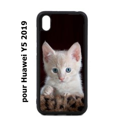 Coque noire pour Huawei Y5 2019 Bébé chat tout mignon - chaton yeux bleus