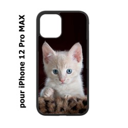Coque noire pour Iphone 12 PRO MAX Bébé chat tout mignon - chaton yeux bleus
