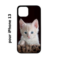 Coque noire pour iPhone 13 Bébé chat tout mignon - chaton yeux bleus