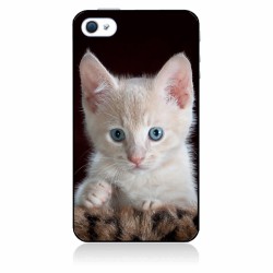 Coque noire pour IPHONE 5/5S et IPHONE SE.2016 Bébé chat tout mignon - chaton yeux bleus