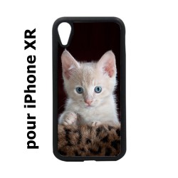 Coque noire pour iPhone XR Bébé chat tout mignon - chaton yeux bleus