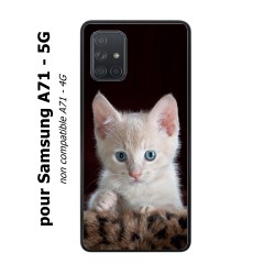 Coque noire pour Samsung Galaxy A71 - 5G Bébé chat tout mignon - chaton yeux bleus