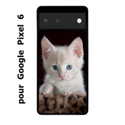 Coque noire pour Google Pixel 6 Bébé chat tout mignon - chaton yeux bleus